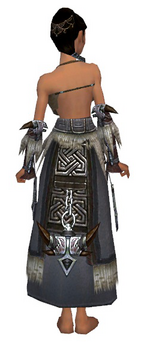 Dervish Norn armor f gray back arms legs.png