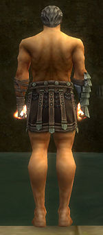 Warrior Elite Gladiator armor m gray back arms legs.jpg