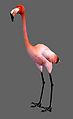 "Pet Flamingo" concept art.jpg