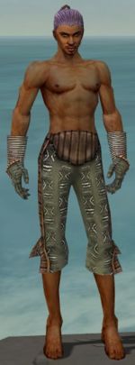Elementalist Istani armor m gray front arms legs.jpg