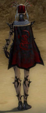 Guild Vicious Blood Brothers cape.jpg