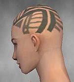 Monk Labyrinthine armor f gray left head.jpg
