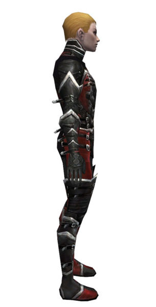 File:Necromancer Kurzick armor m dyed right.jpg