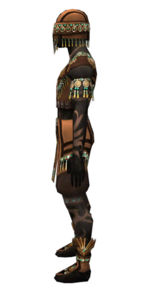 Ritualist Elite Luxon armor m dyed left.jpg