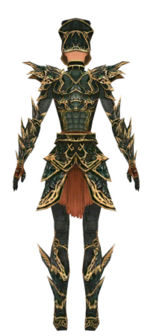 Warrior Elite Luxon armor f dyed back.jpg