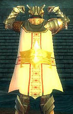 Guild The Golden Gods cape.jpg