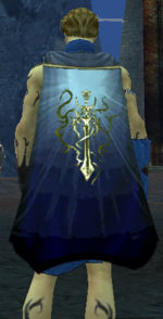 Guild Noble Order Of-Valiant Angels cape.jpg