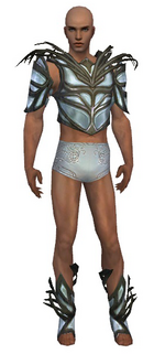 Paragon Primeval armor m gray front chest feet.png