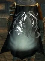 Guild Order Of Shadow Dragon cape.jpg