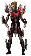 Necromancer Primeval armor m.jpg