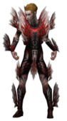 Necromancer Primeval armor m.jpg
