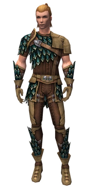 File:Ranger Drakescale armor m.jpg