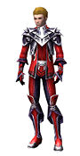 Elementalist Deldrimor armor m.jpg