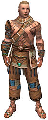 Monk Luxon armor m.jpg