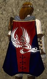 Guild Band Of The Phoenix cape.jpg