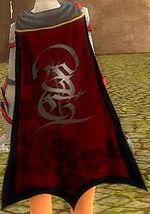 Guild The United Heroes cape.jpg