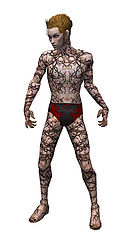 Necromancer Elite Scar Pattern armor m.jpg