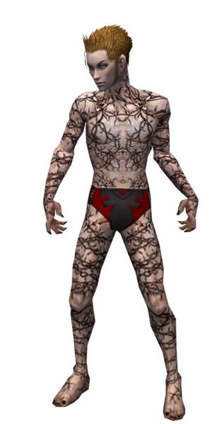 File:Necromancer Elite Scar Pattern armor m.jpg