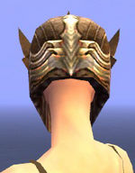 Warrior Monument armor f gray back head.jpg