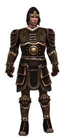Warrior Shing Jea armor m.jpg