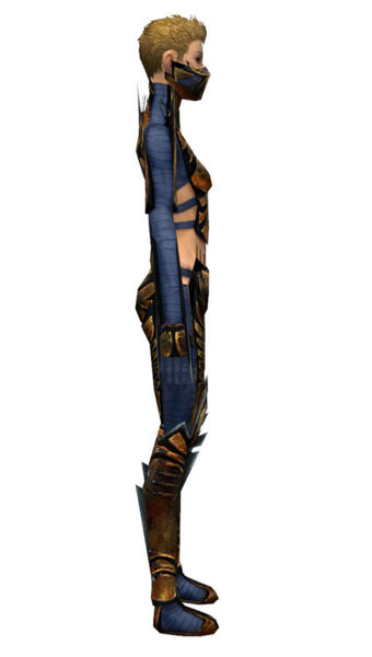 File:Assassin Elite Exotic armor f dyed right.jpg