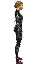 Necromancer Kurzick armor f dyed right.jpg