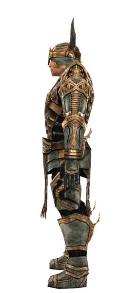 File:Warrior Elite Sunspear armor m dyed left.jpg