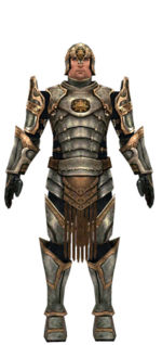 Warrior Sunspear armor m dyed front.jpg
