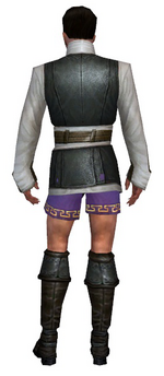 Mesmer Monument armor m gray back chest feet.png