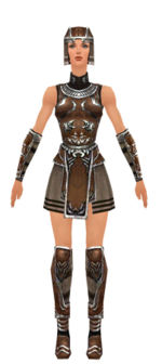 Warrior Istani armor f dyed front.jpg