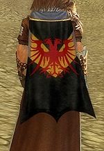 Guild The Warlords Of Destruction cape.jpg