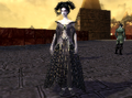 A divine path NPC. I call it a mesmer but it's not displayed. I wish players were allowed to have this.