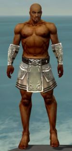 Warrior Istani armor m gray front arms legs.jpg