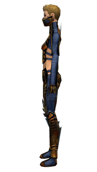 File:Assassin Elite Exotic armor f dyed left.jpg