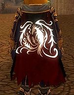 Guild The Apocalyptic Order Cape.JPG