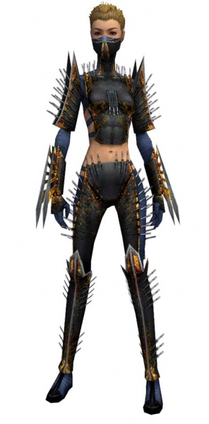 File:Assassin Exotic armor f.jpg