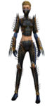 Assassin Exotic armor f.jpg