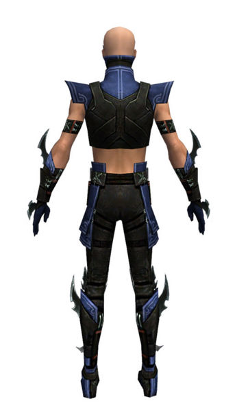 File:Assassin Luxon armor m dyed back.jpg