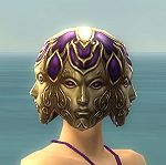 Vision of Lyssa costume f purple front head.jpg