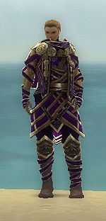 Vision of Lyssa costume m purple front.jpg