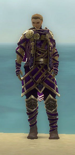 File:Vision of Lyssa costume m purple front.jpg