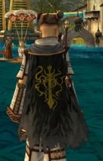 Guild The Cryptic Hunters cape.jpg