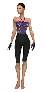 Mesmer Norn armor f gray front arms legs.png