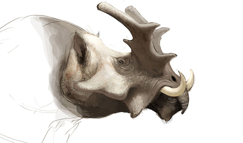 File:"Rhinoish" concept art.jpg