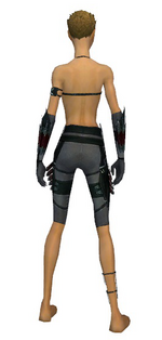 Assassin Seitung armor f gray back arms legs.png