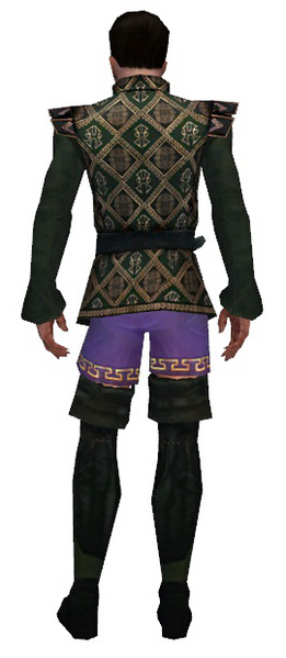 File:Mesmer Courtly armor m gray back chest feet.png