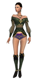 Mesmer Luxon armor f gray front chest feet.png