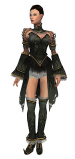 Mesmer Primeval armor f gray front chest feet.png