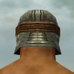 Warrior Sunspear armor m gray back head.jpg