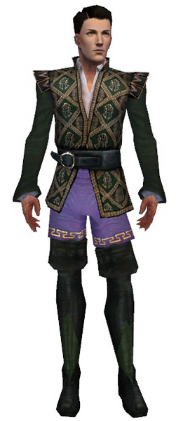 File:Mesmer Courtly armor m gray front chest feet.png